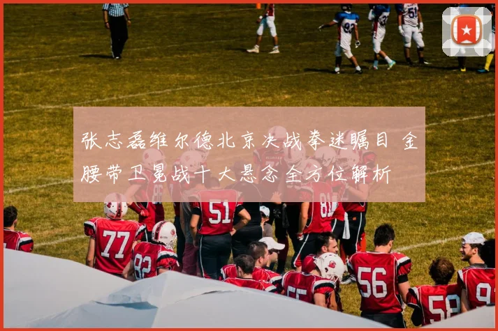 张志磊维尔德北京决战拳迷瞩目 金腰带卫冕战十大悬念全方位解析