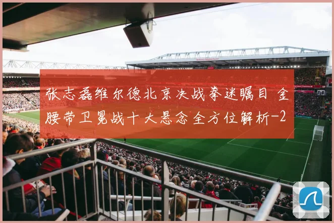 张志磊维尔德北京决战拳迷瞩目 金腰带卫冕战十大悬念全方位解析